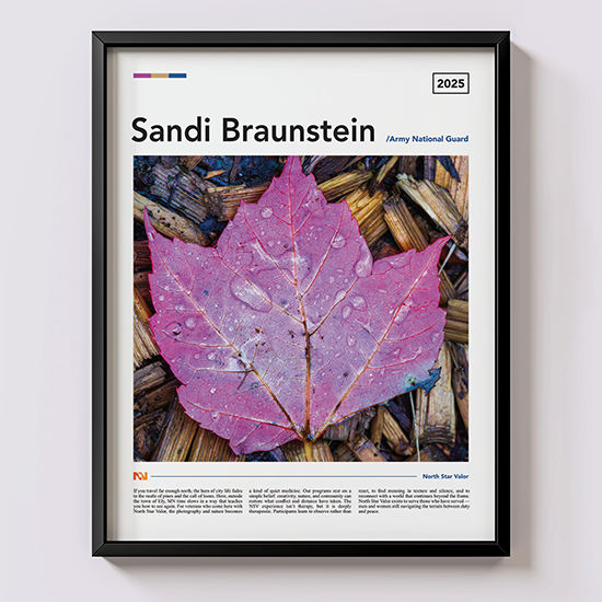 Sandi Braunstein Army National Guard Veteran - Maple Drops - 11"x14" Poster - Frame Not Included (Copy)
