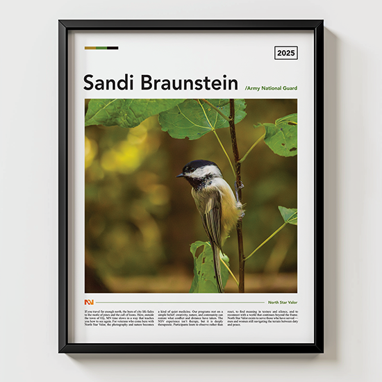 Sandi Braunstein Army National Guard Veteran - Fall Flowers - 11"x14" Poster - Frame Not Included